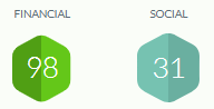 Main Financial and Social Score.png