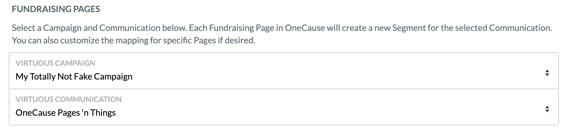 OneCause Default Page Mapping.png