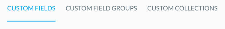 Custom_Fields_Etc._Tabs.PNG